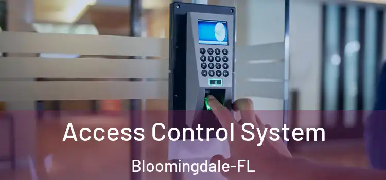  Access Control System Bloomingdale-FL
