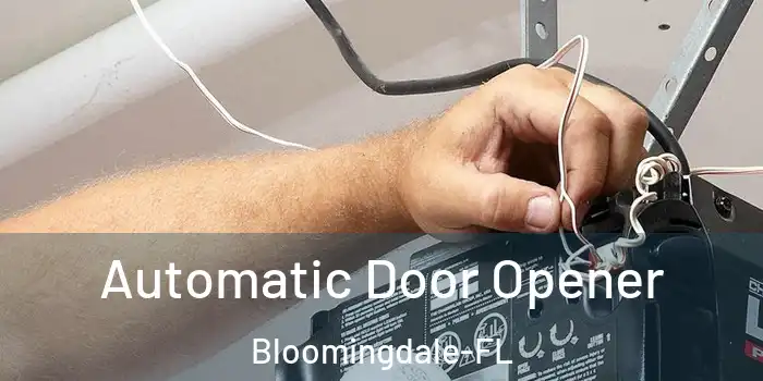  Automatic Door Opener Bloomingdale-FL