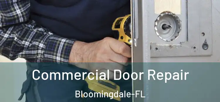  Commercial Door Repair Bloomingdale-FL