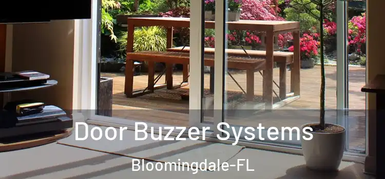 Door Buzzer Systems Bloomingdale-FL