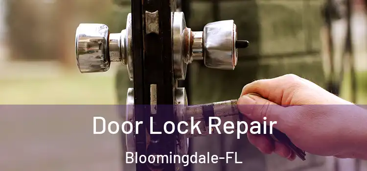  Door Lock Repair Bloomingdale-FL