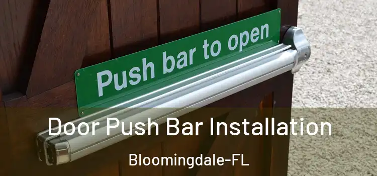  Door Push Bar Installation Bloomingdale-FL
