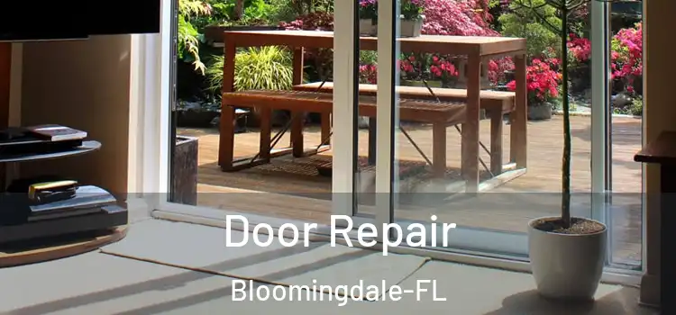  Door Repair Bloomingdale-FL