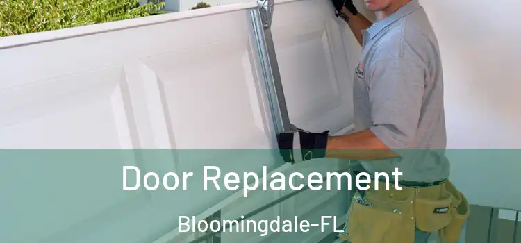  Door Replacement Bloomingdale-FL