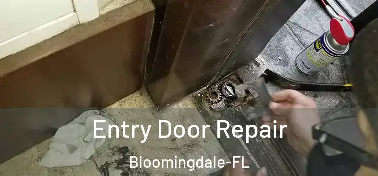  Entry Door Repair Bloomingdale-FL