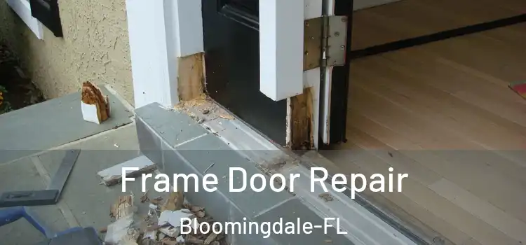  Frame Door Repair Bloomingdale-FL