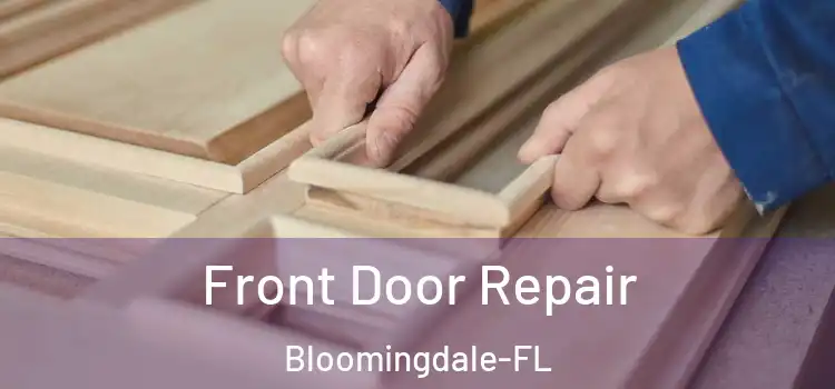  Front Door Repair Bloomingdale-FL