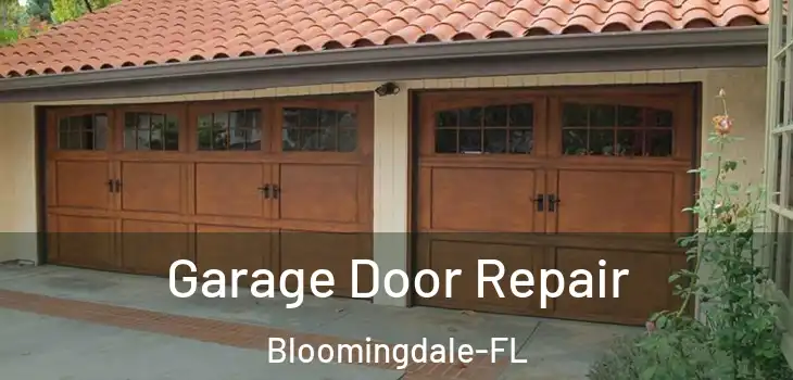  Garage Door Repair Bloomingdale-FL