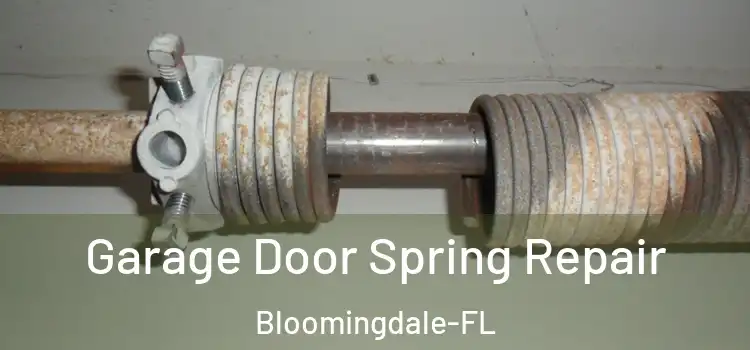 Garage Door Spring Repair Bloomingdale-FL