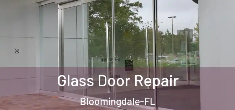  Glass Door Repair Bloomingdale-FL