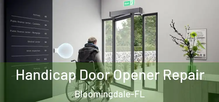  Handicap Door Opener Repair Bloomingdale-FL