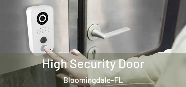  High Security Door Bloomingdale-FL