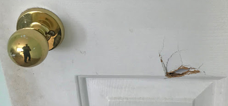 interior door hole repair Bloomingdale