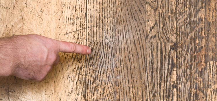 Wood Door Scratch Repair in Bloomingdale