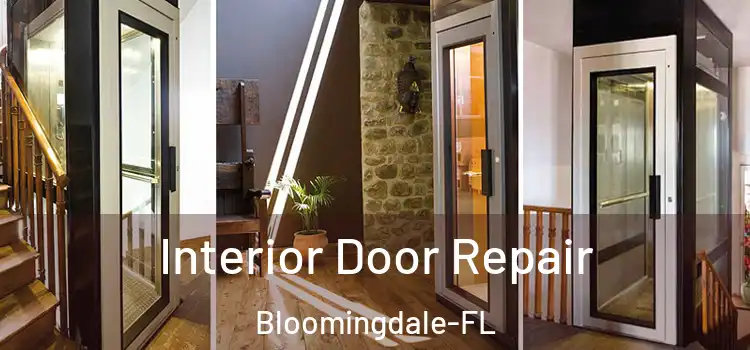  Interior Door Repair Bloomingdale-FL