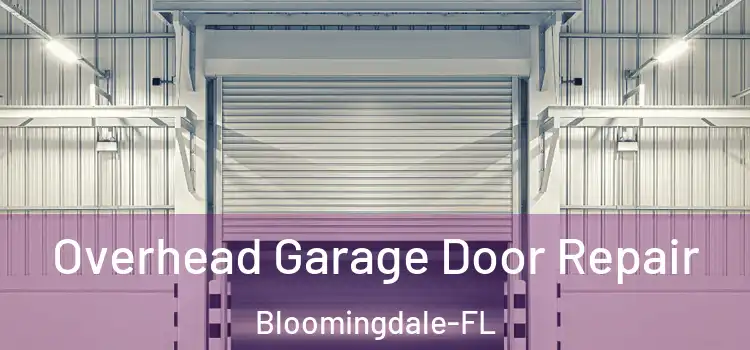  Overhead Garage Door Repair Bloomingdale-FL