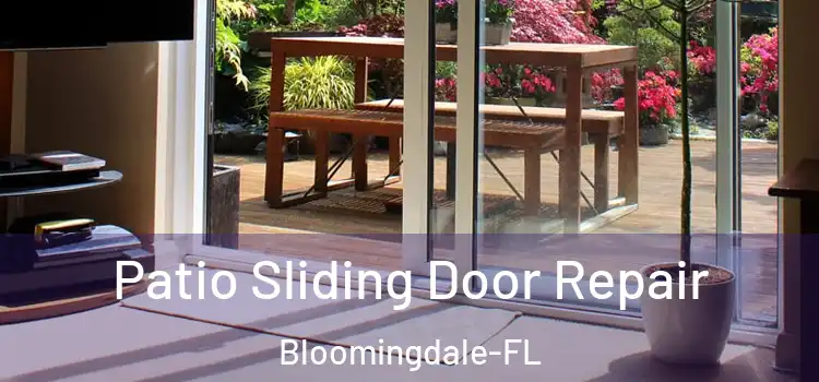  Patio Sliding Door Repair Bloomingdale-FL