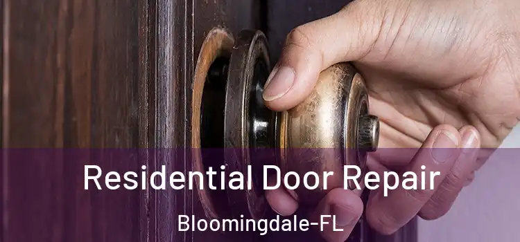  Residential Door Repair Bloomingdale-FL
