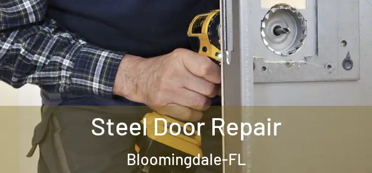  Steel Door Repair Bloomingdale-FL