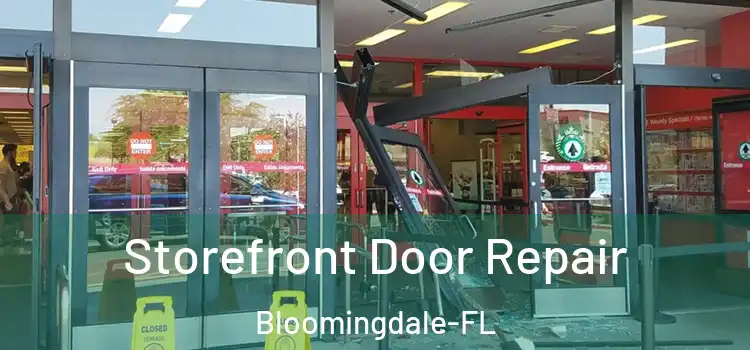  Storefront Door Repair Bloomingdale-FL