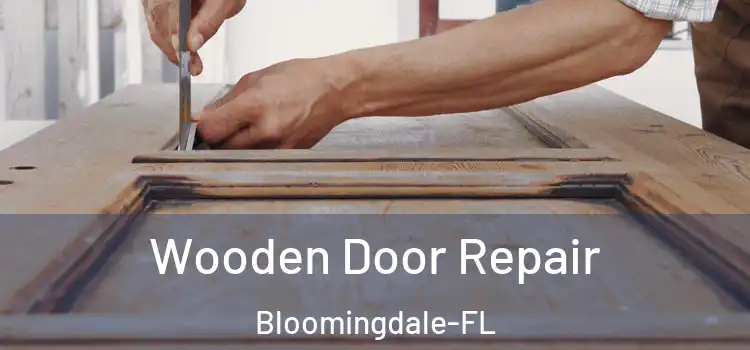  Wooden Door Repair Bloomingdale-FL